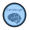 Cerebryk Online Marketing Services